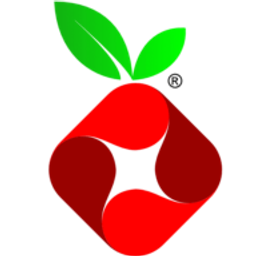 Pi-hole logo